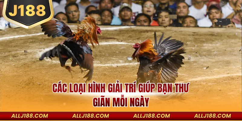 Các loại hình giải trí giúp bạn thư giãn mỗi ngày