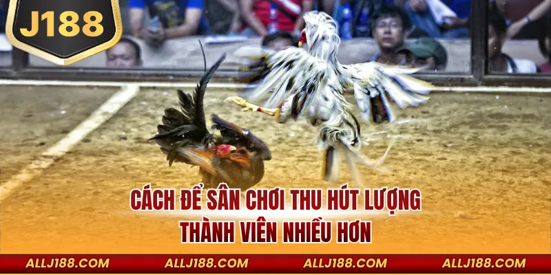 Cách để sân chơi thu hút lượng thành viên nhiều hơn