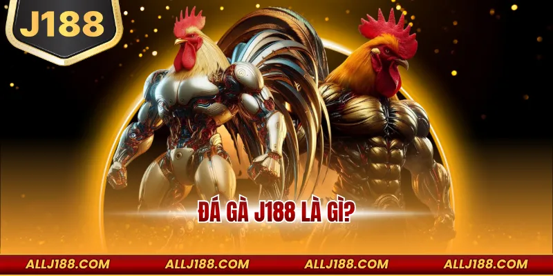 Đá gà J188 là gì?