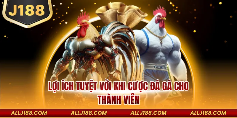 Lợi ích tuyệt vời khi cược đá gà cho thành viên