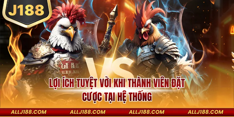 Lợi ích tuyệt vời khi thành viên đặt cược tại hệ thống