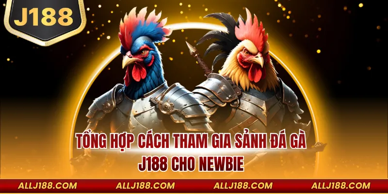 Tổng hợp cách tham gia sảnh đá gà J188 cho Newbie